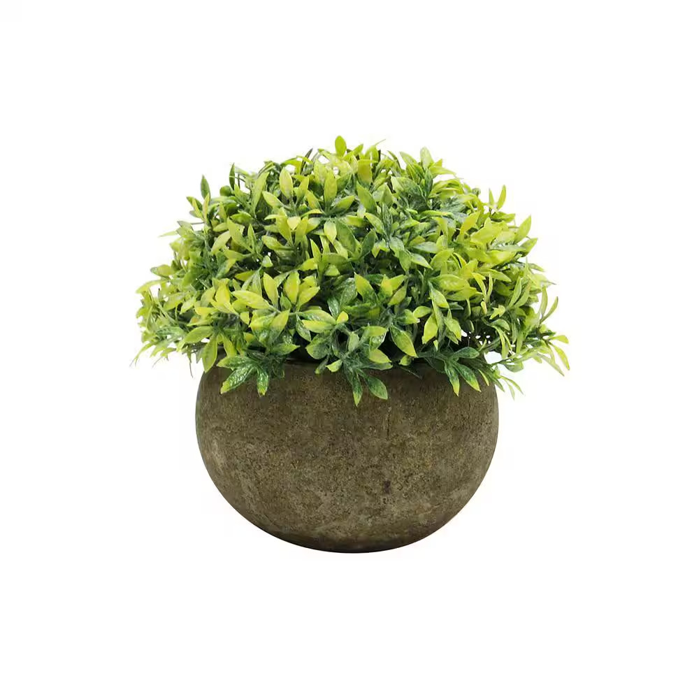 4.5 In. Frosted Green Artificial Boxwood Grass Leaf Succulent Mix Small Plant To