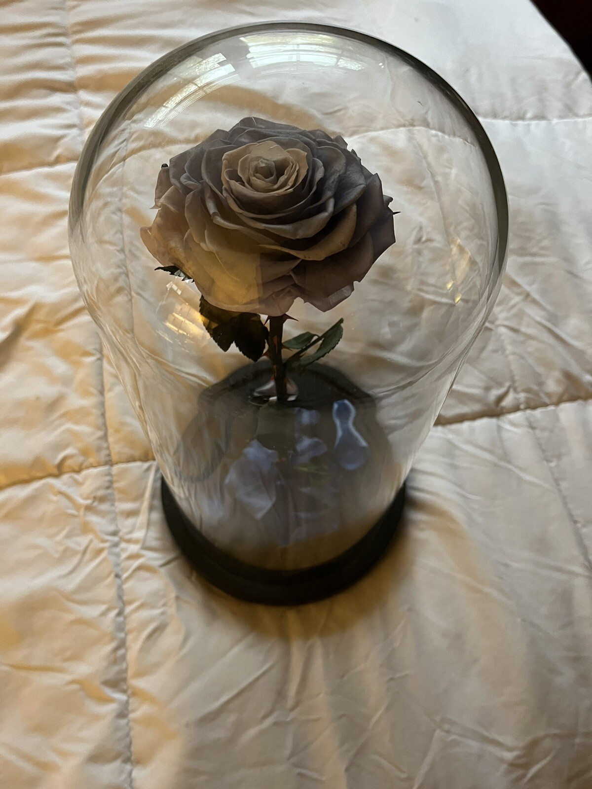 DEFAITH Upgraded Blue Real Rose 9” Beauty and The Beast Rose in Glass Forever