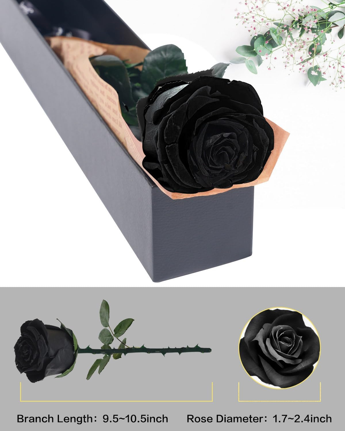 Preserved Flowers Gifts for Women: Valentines Day Mothers Day Birthday Christmas