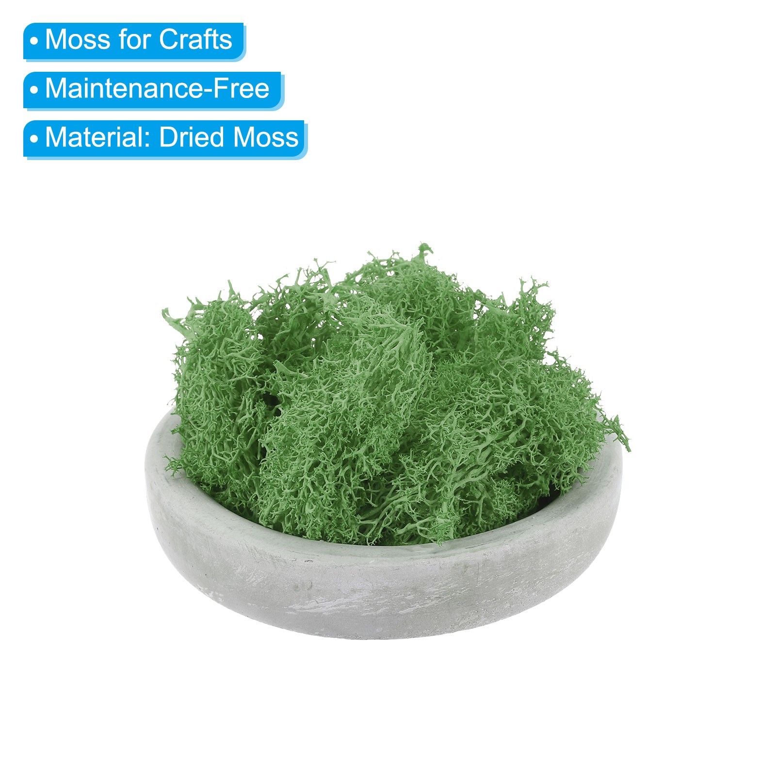 7 OZ Fake Moss, Preserved Decorative Moss with Box for Potted Plants, Green