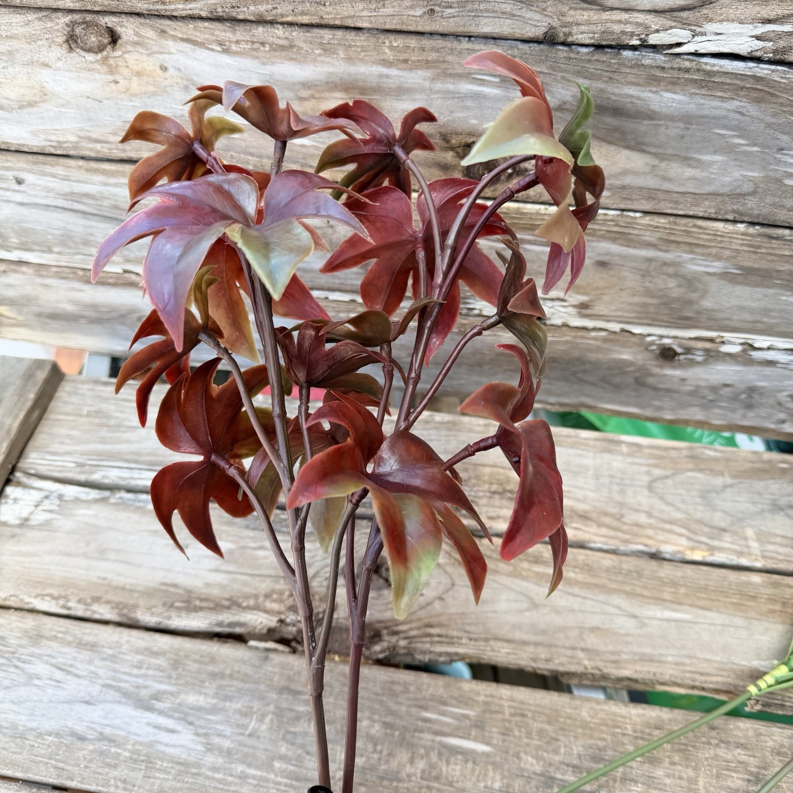 MCM Plastic Houseplant Stem Spider Plants and Japanese Maple Tiki Bar