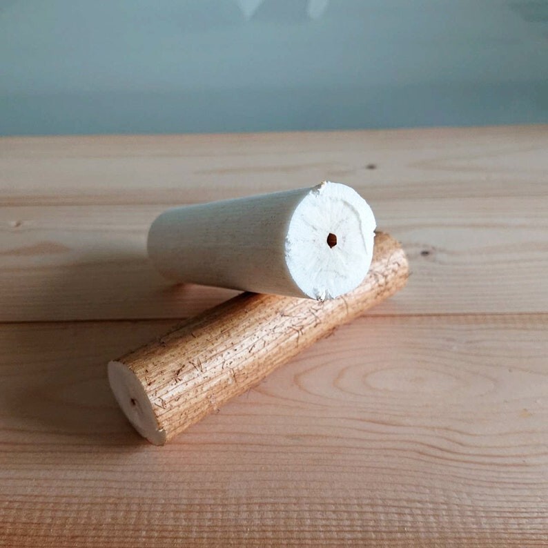 100 Natural sola Sticks 10cm Long and 2-3cm Dia. for DIY sola Flower or Bird Toy