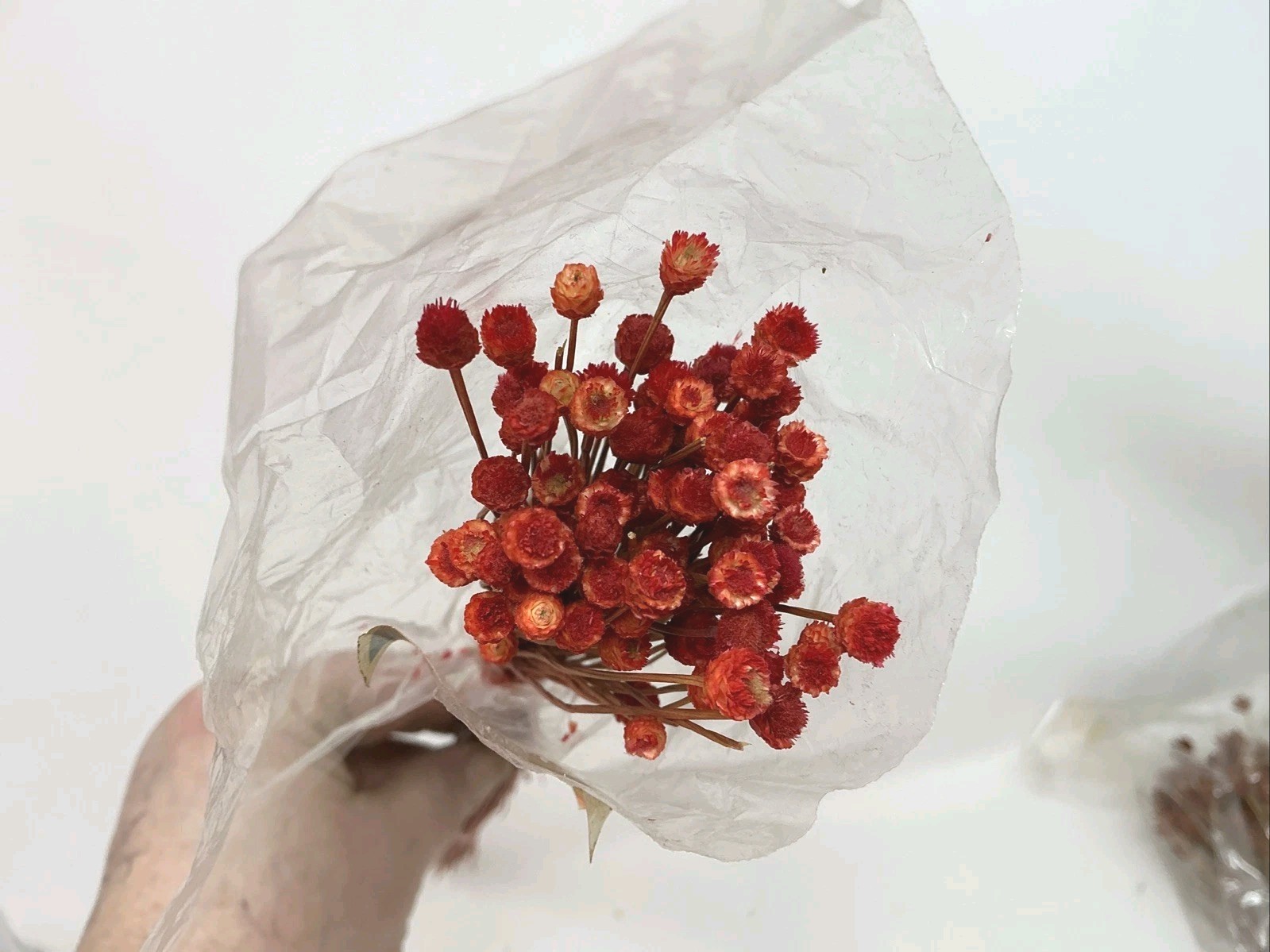 Vintage Dried Flower Bunches Lot of 8 Bunches 12″ – 30” L Crafts Floral Bouquets