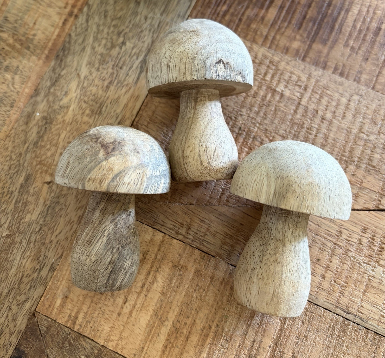 3 Hand Carved Wood Mushrooms Roughly 2.5 in Home/Shelf Decor