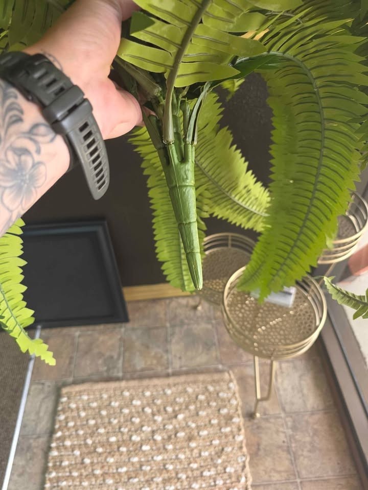 Nearly Natural 6051S2 Boston Fern Houseplant – Green (2 Piece)