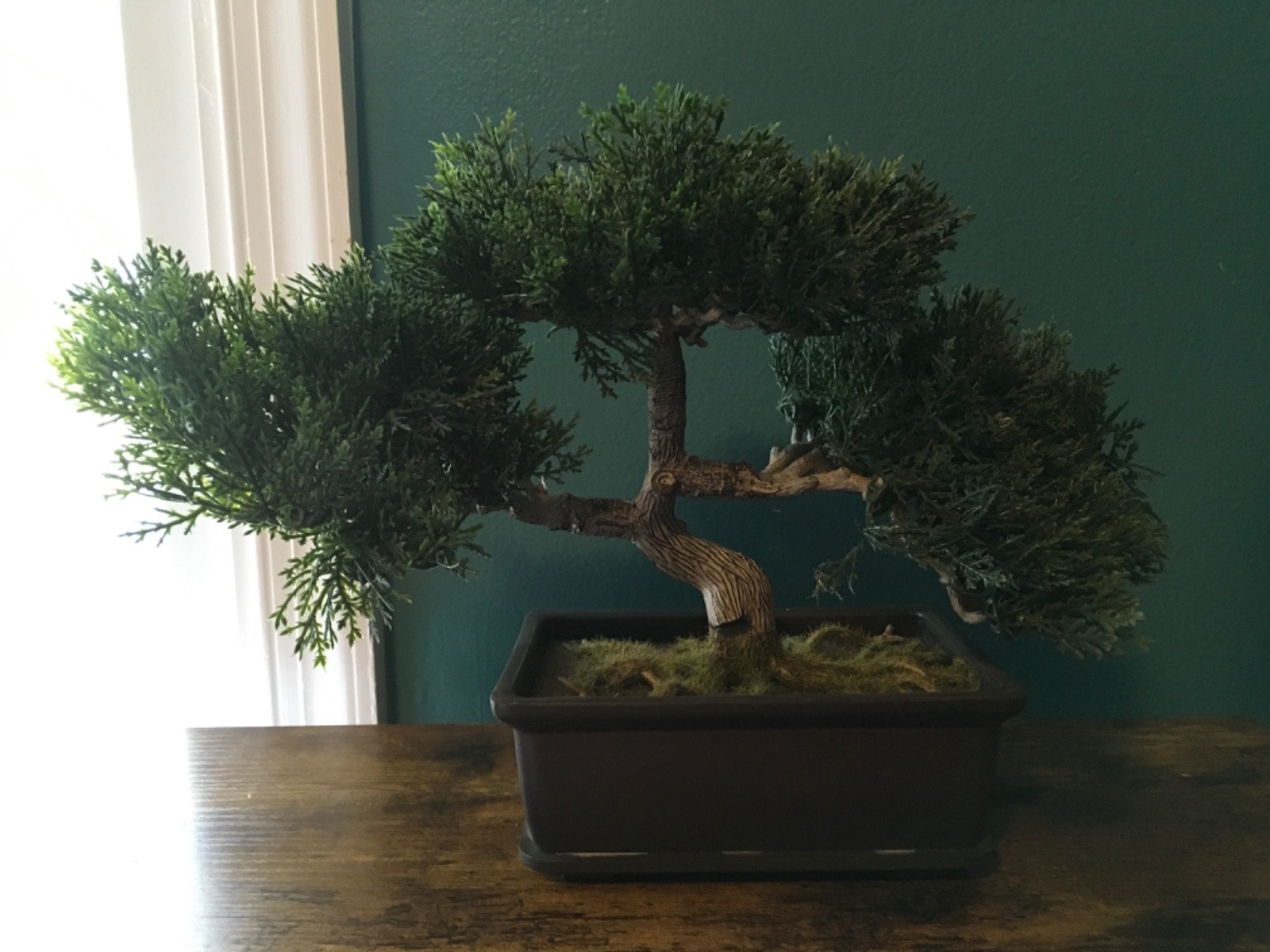 Garden Artificial Bonsai Tree Faux Pine Potted Plant 9 X 12 wide