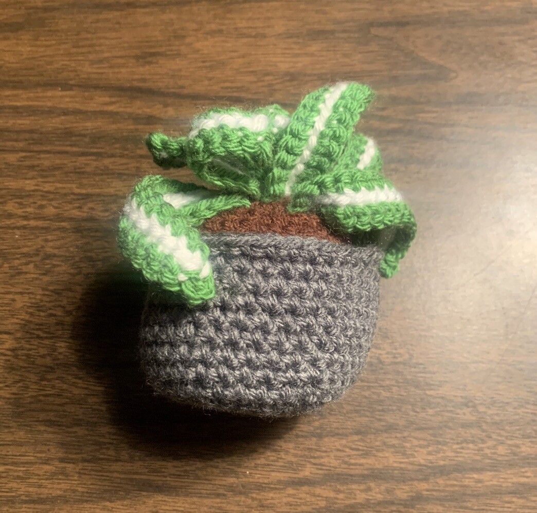 Small Knit Potted Plant, Knitted