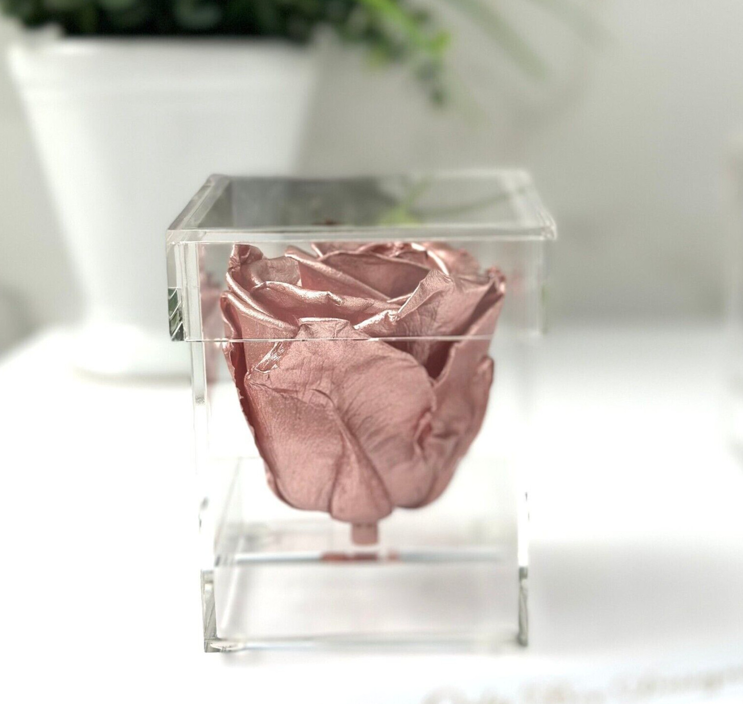 Preserved Rose in a Personalized Clear Acrylic Box – Bridal Party Gifts