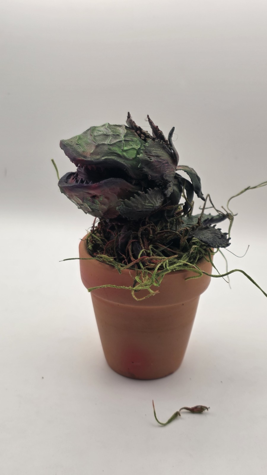 Audrey II Little Shop of Horrors Airbrushed Carnivorous includes Pot & Moss 5″