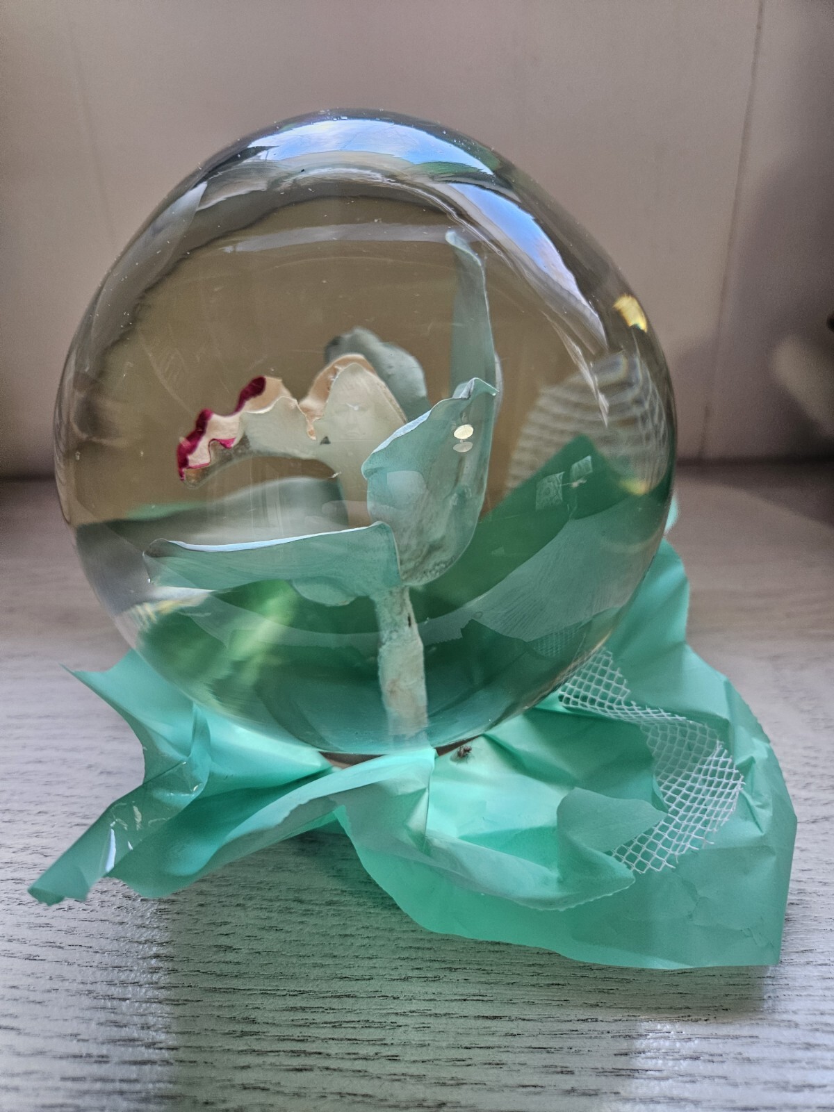 Bill Doran Mexico ORCHID Flower Globe Preserved Decor 7″ Teal Green Clear Gorg!!
