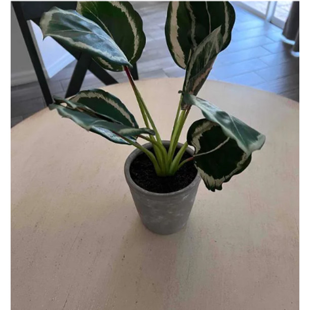 HEARTH & HAND WITH MAGNOLIA Faux Calathea Plant in Ceramic Pot, 14 in x 16 in