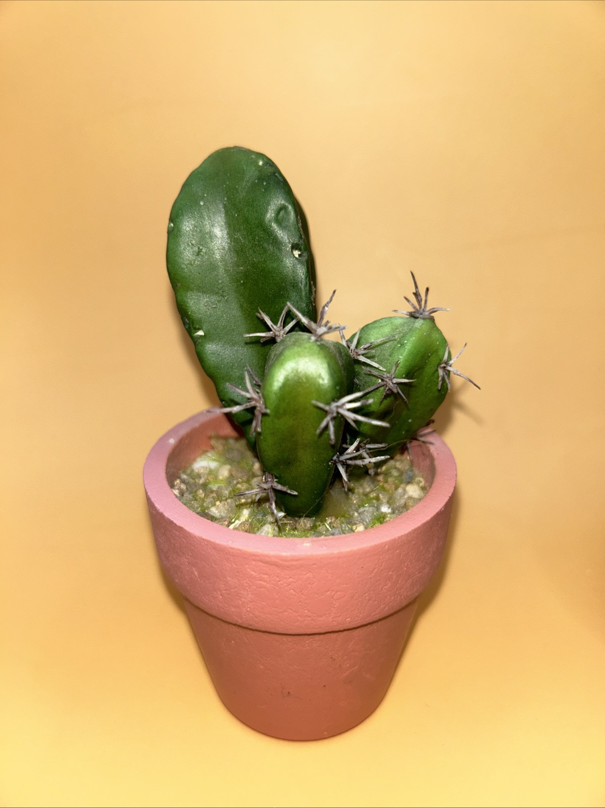 5- Artificial Cactus/ Succulent Plants 5”Tall, Terra Cotta Pots. Realistic