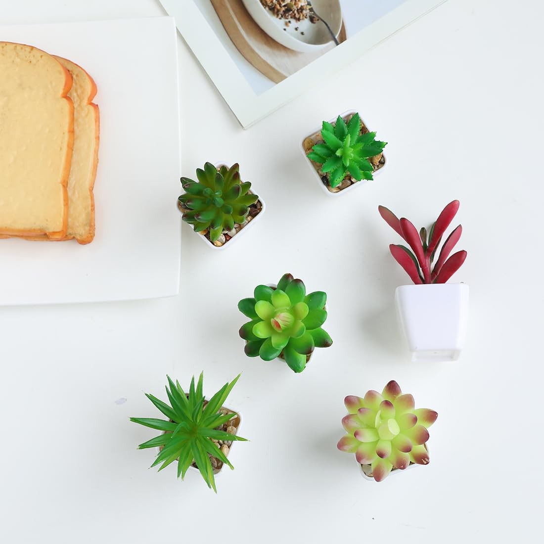Mini Fake Plants in Small Succulents Potted Ceramic Pots Artificial Faux Asso…