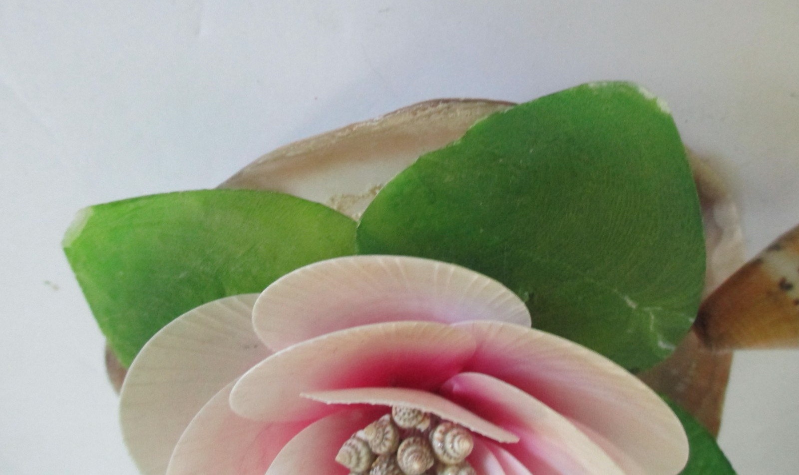 Floral Shaped Shells Blooming Flower Decorative Piece Art Home 6 x 8 in Vintage