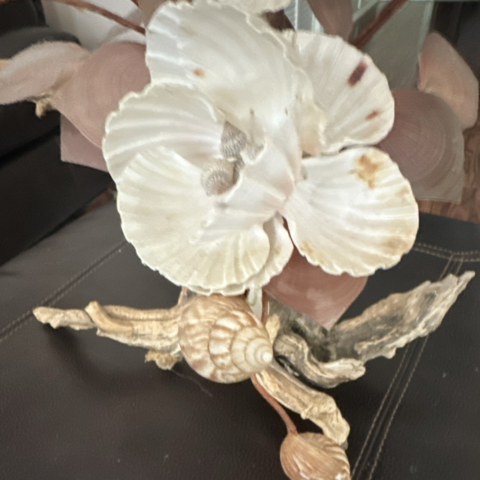 Shell & wood hand maid Orchid Floral Arrangement Centerpiece, Beige Brown White