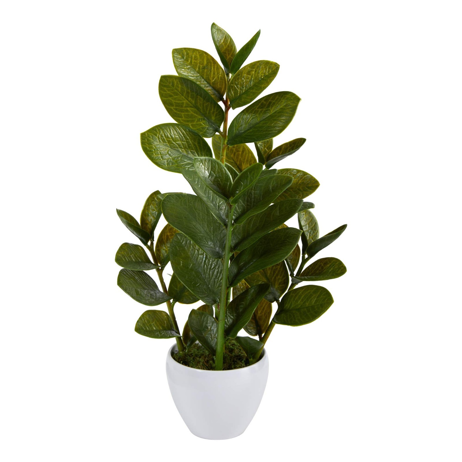 22in ZZ Plant – Realistic Zamioculcas Artificial Plant with White Planter