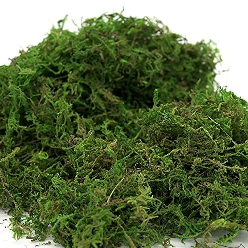 16oz Artificial Moss for Crafts & Decor – Fake Moss for Fairy Gardens, Weddings,