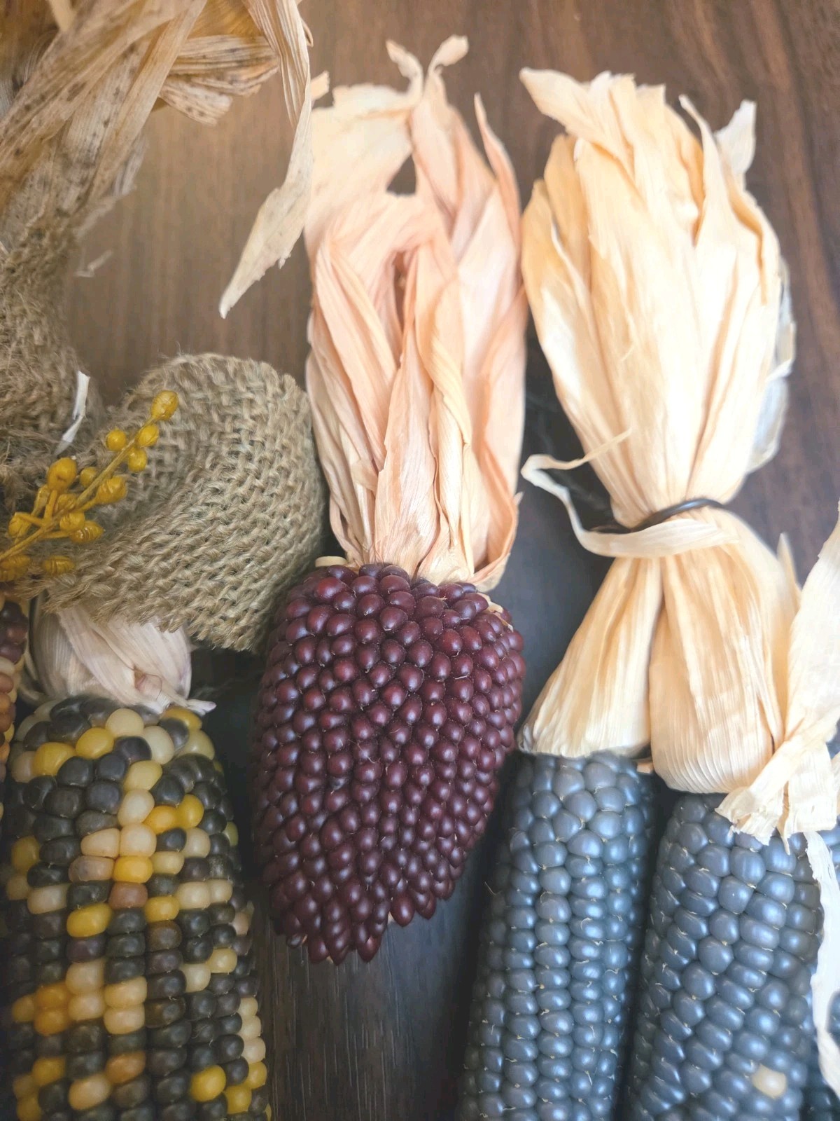 Mini Indian Corn, Approx 7-10″ Long, Thanksgiving Fall Decor