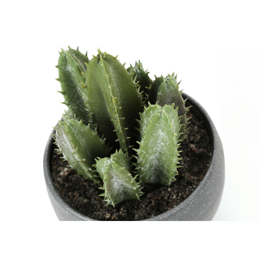 3Pcs 6in Faux Succulent Plants Grey Cement Pots Table Indoor Home Decor