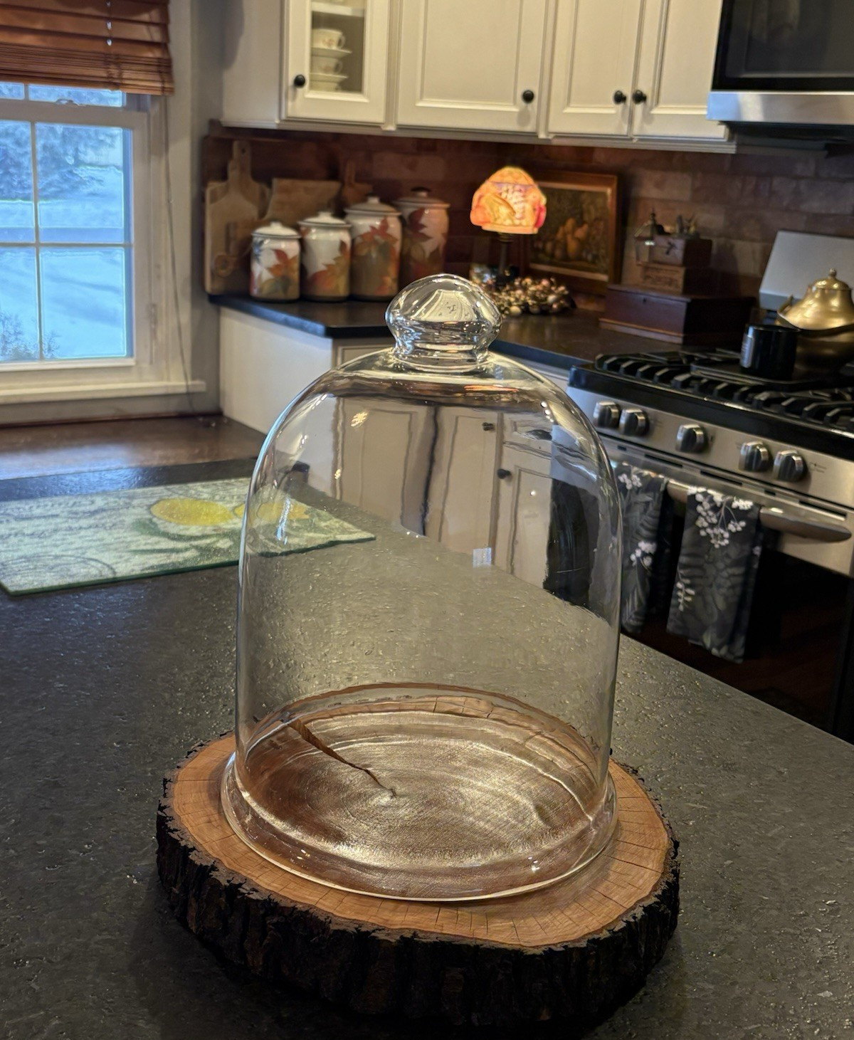 Glass Terrarium Cloche Dome Cover with Top Knob Rustic Wood Base Live Edge
