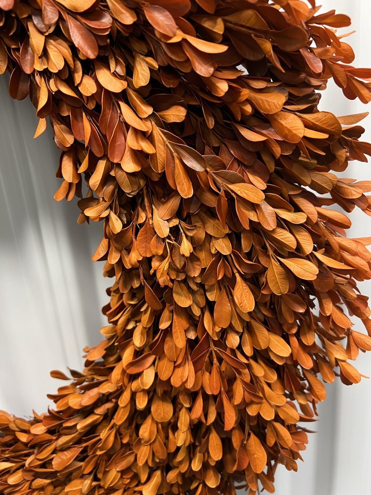 24 Inch Real Preserved Boxwood Natural Wreath Fall Decor Thanksgiving