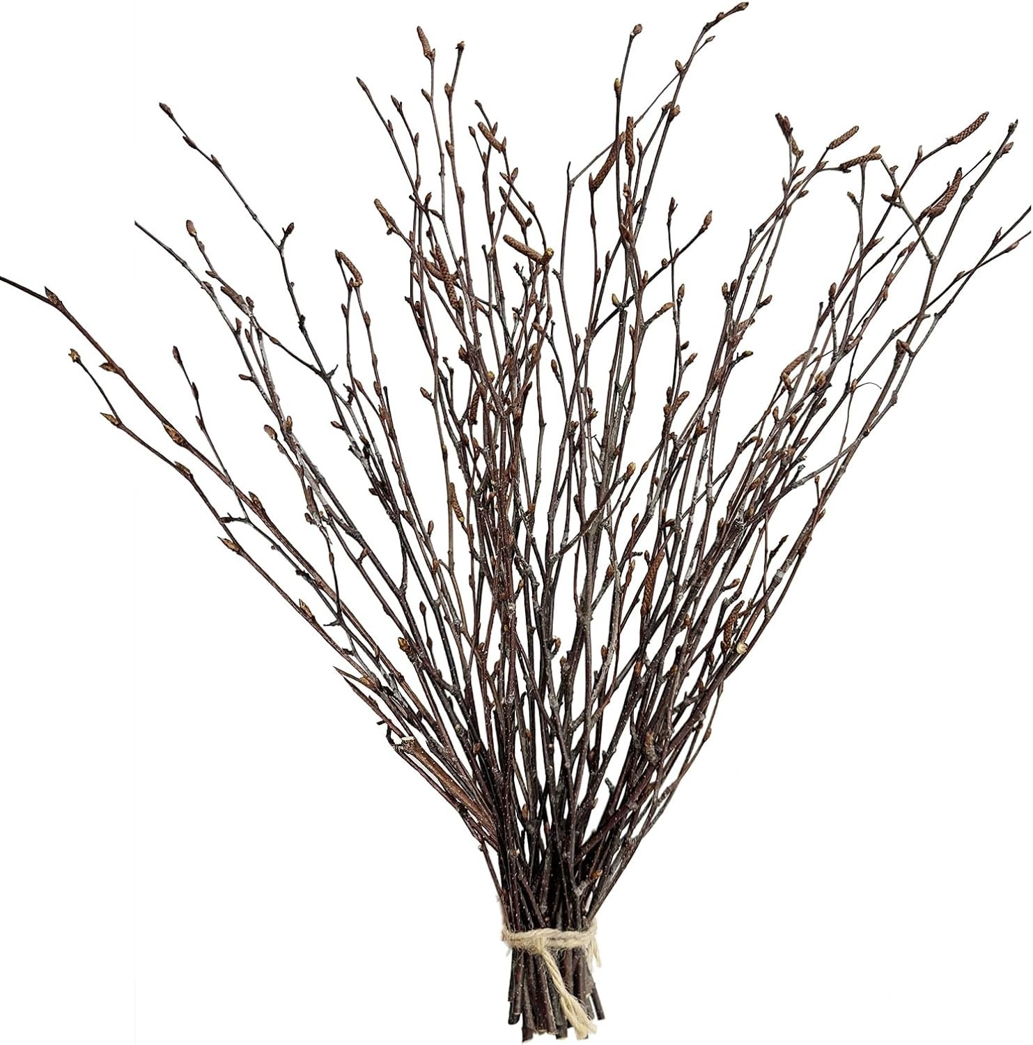 Elevate Your Space with 30-Pcs 17-Inch Birch Twigs – Rustic Home Decor Staples