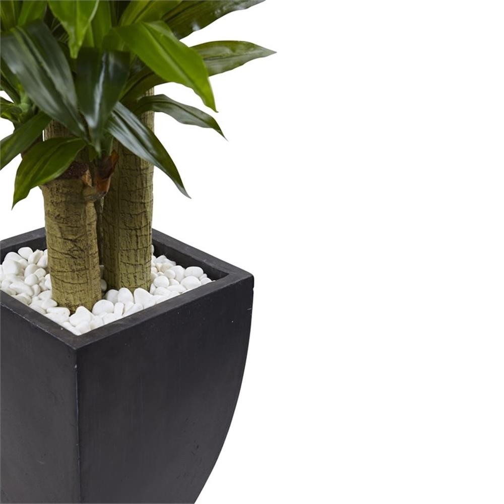 Pemberly Row 66″ Corn Stalk Dracaena with Black Wash Planter in Green/Black