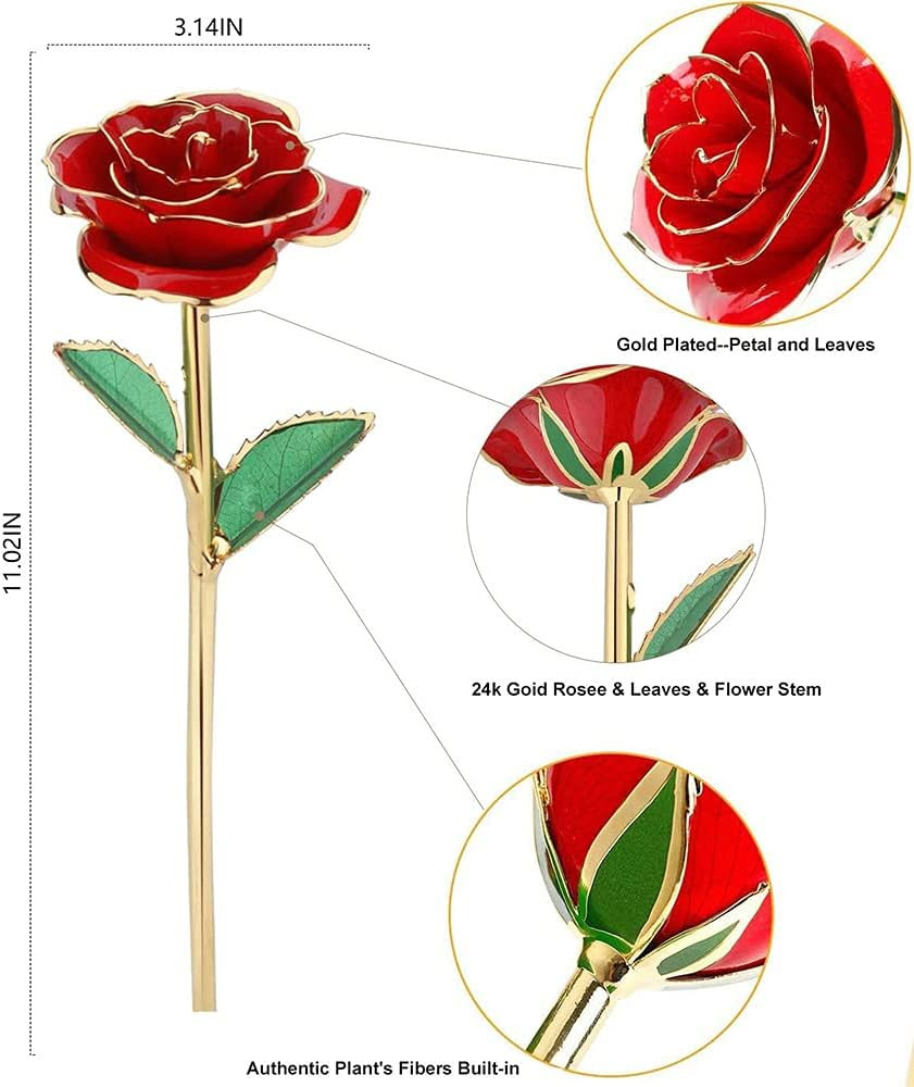 Gold Rose 24K Plated Gold Dipped Rose, Forever Preserved Red Rose Flowers with S