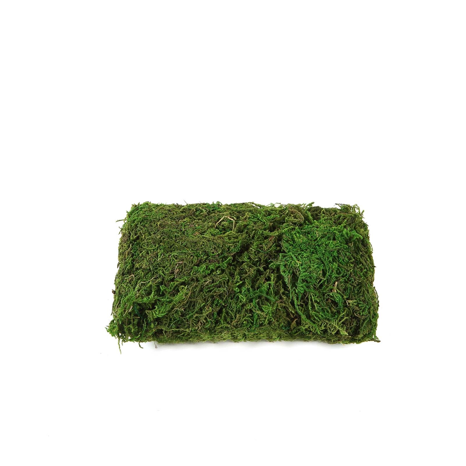 50g Green Natural Reindeer Moss Basket Vase Fillers Wedding Home Decorations