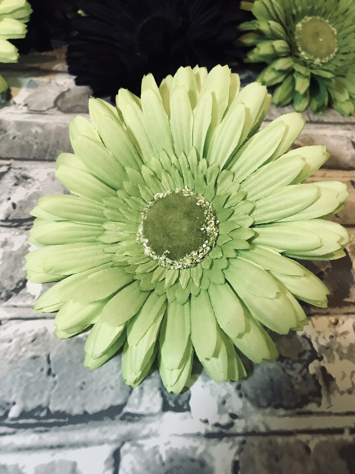 Gerber Silk Daisies 4 1/2” Flowers No Stem Black & Green Vase Fillers Crafts X8