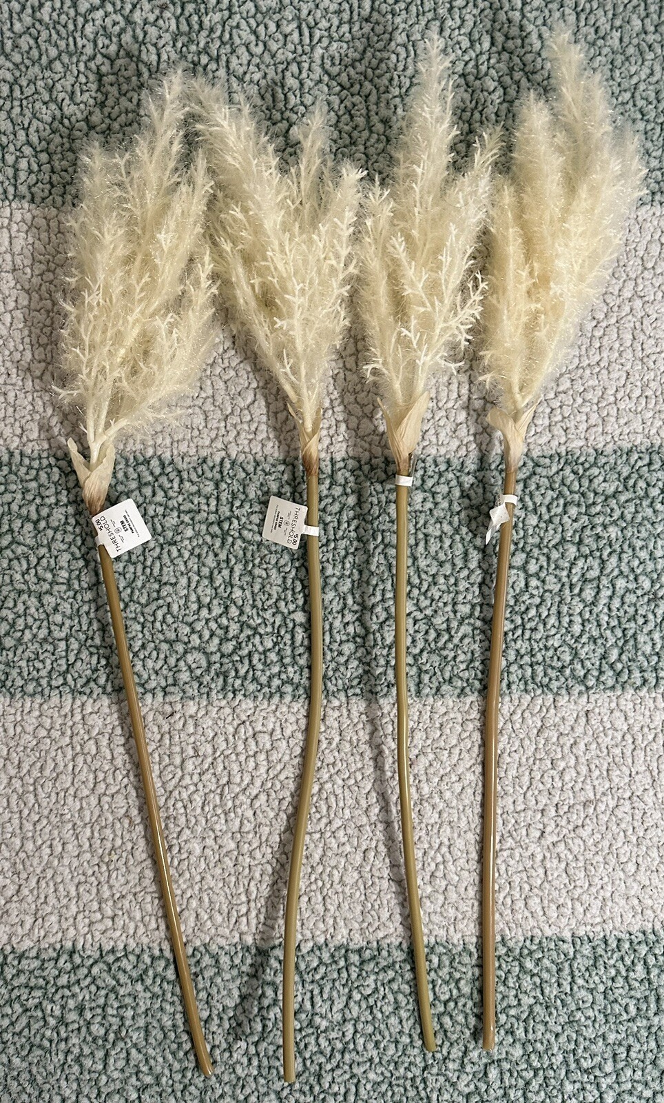 STEM PAMPAS GRASS For indoor decorative use Lot Of 4