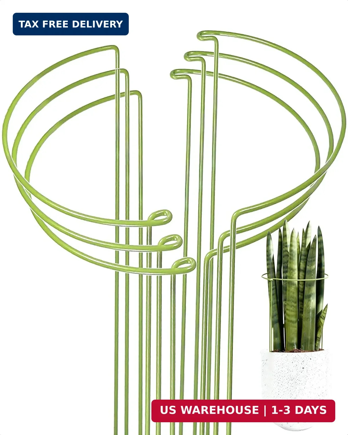 6-Packy Plant Support Stakes, Steel Stakes for Indoor Plants, Monstera & Peony S