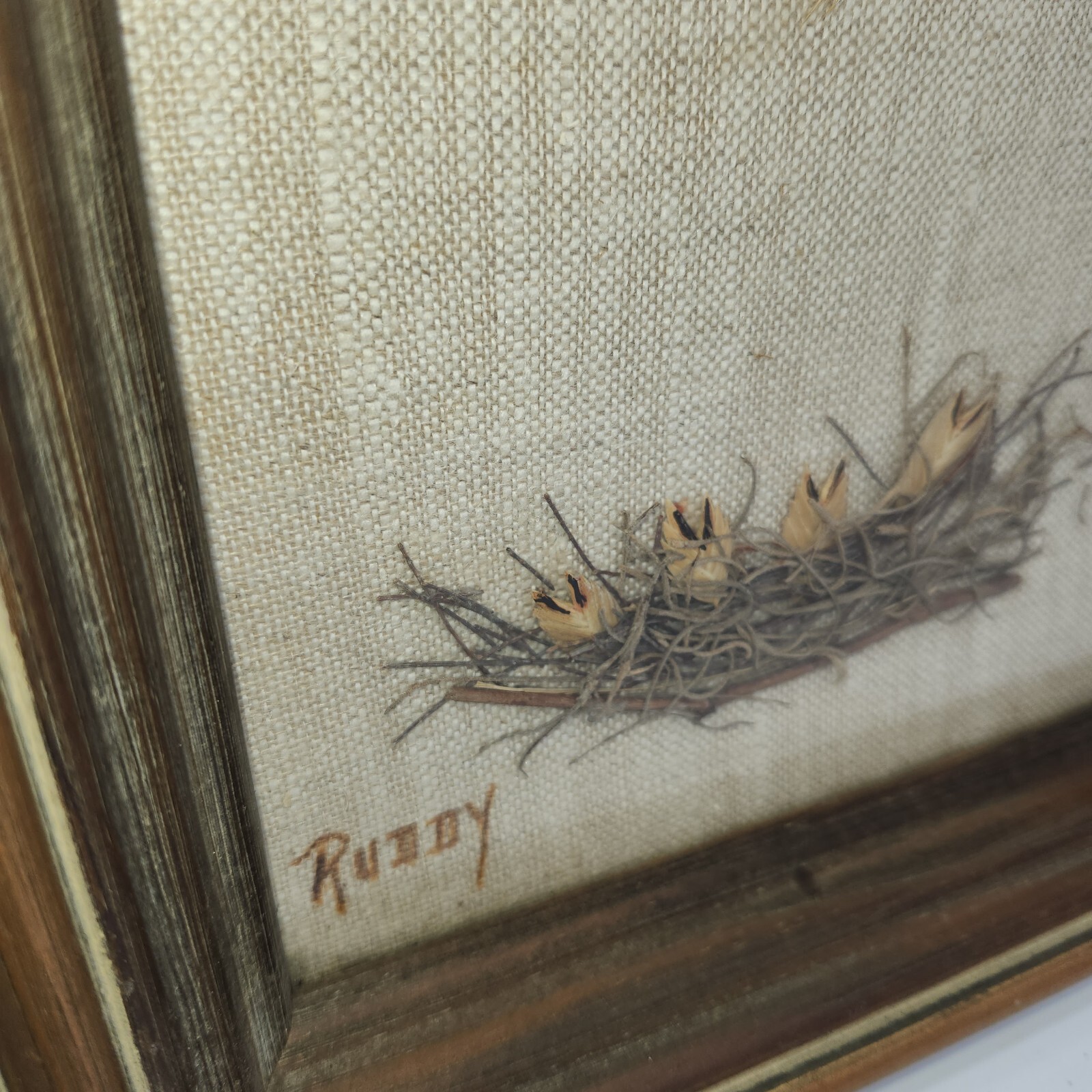 Vintage dried pressed flowers weeds taxidermy wall art bird 14 x 16 wood frame