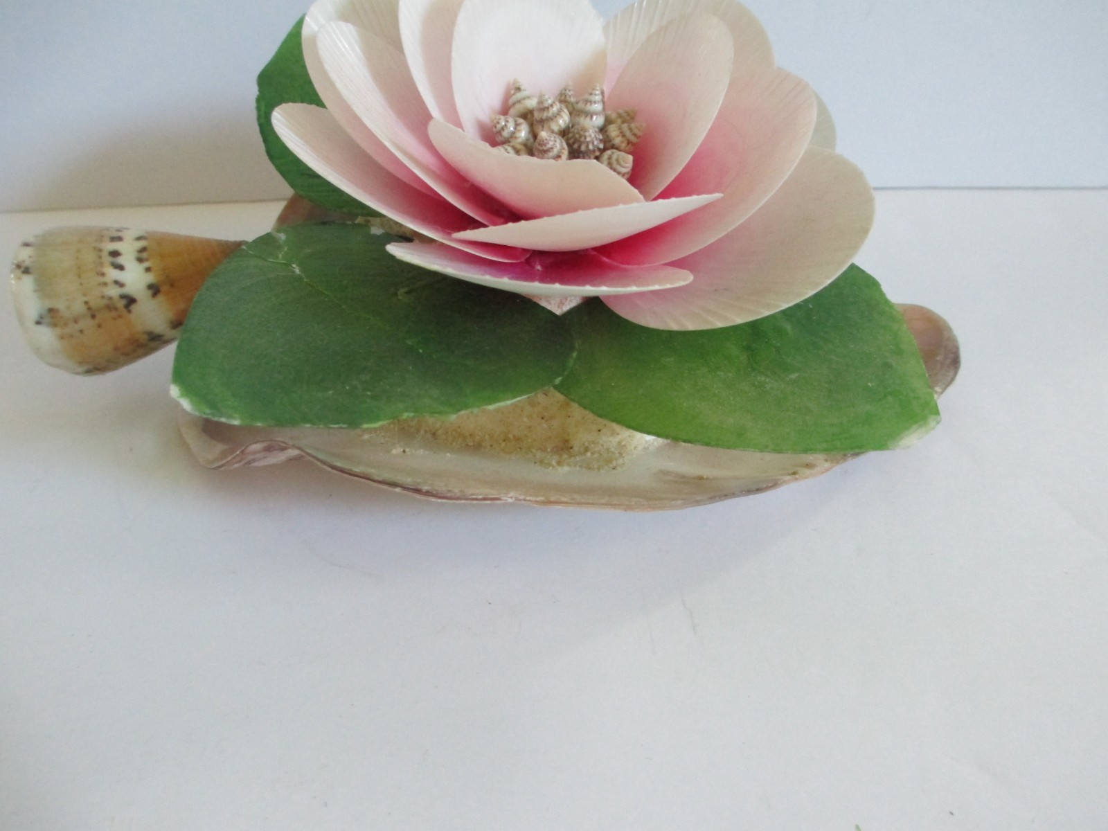 Floral Shaped Shells Blooming Flower Decorative Piece Art Home 6 x 8 in Vintage