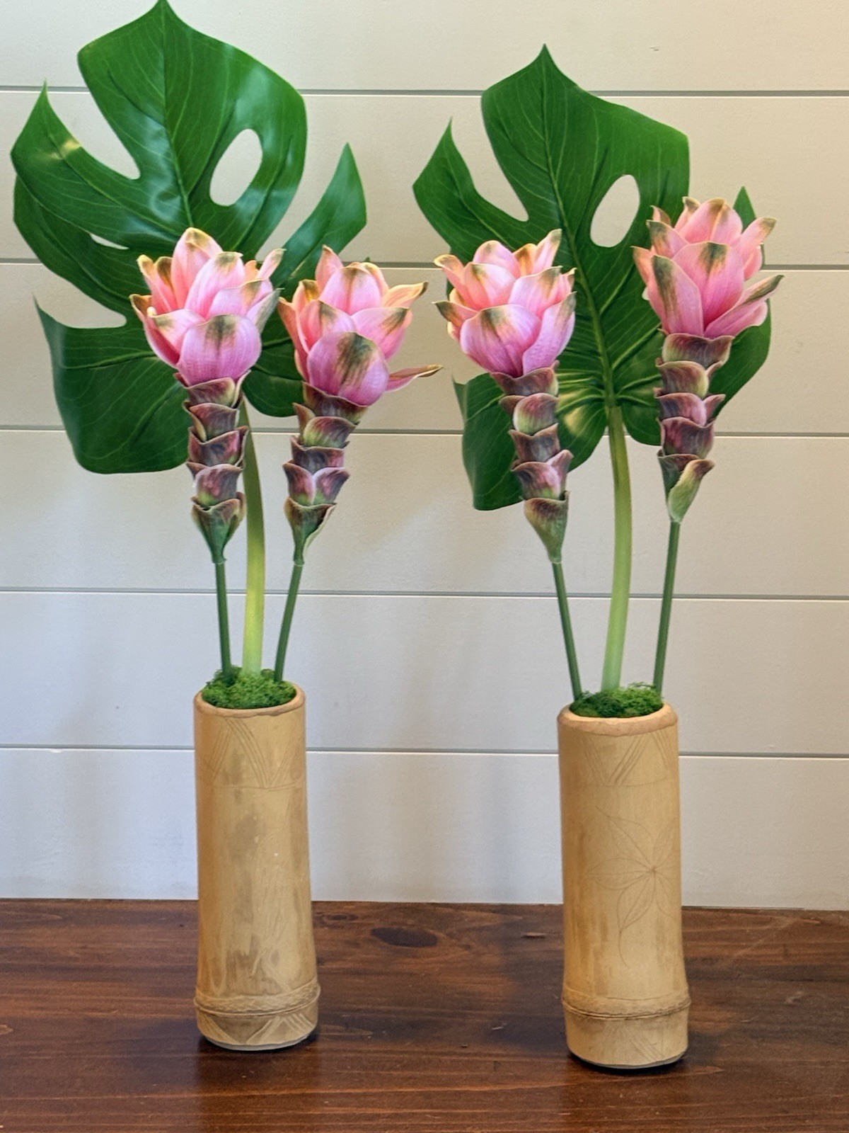 Siam Tulip In bamboo