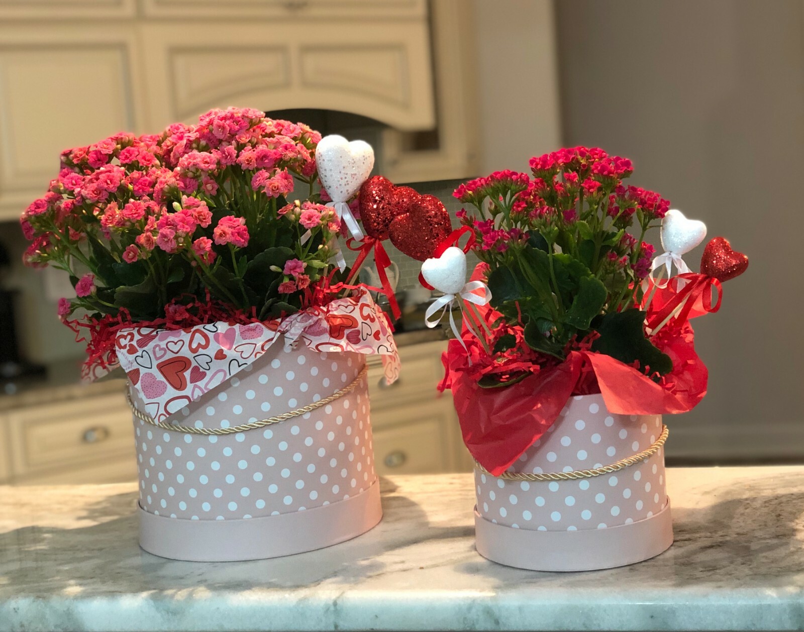 Premium Quality Round Flower Box, Floral Gift Box, Set of 3 pcs, with Lids