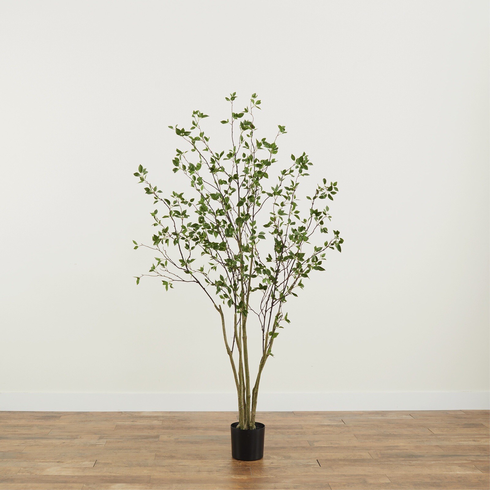 7’ Artificial Citrus Minimalist Tree Home Decor. Retail $329