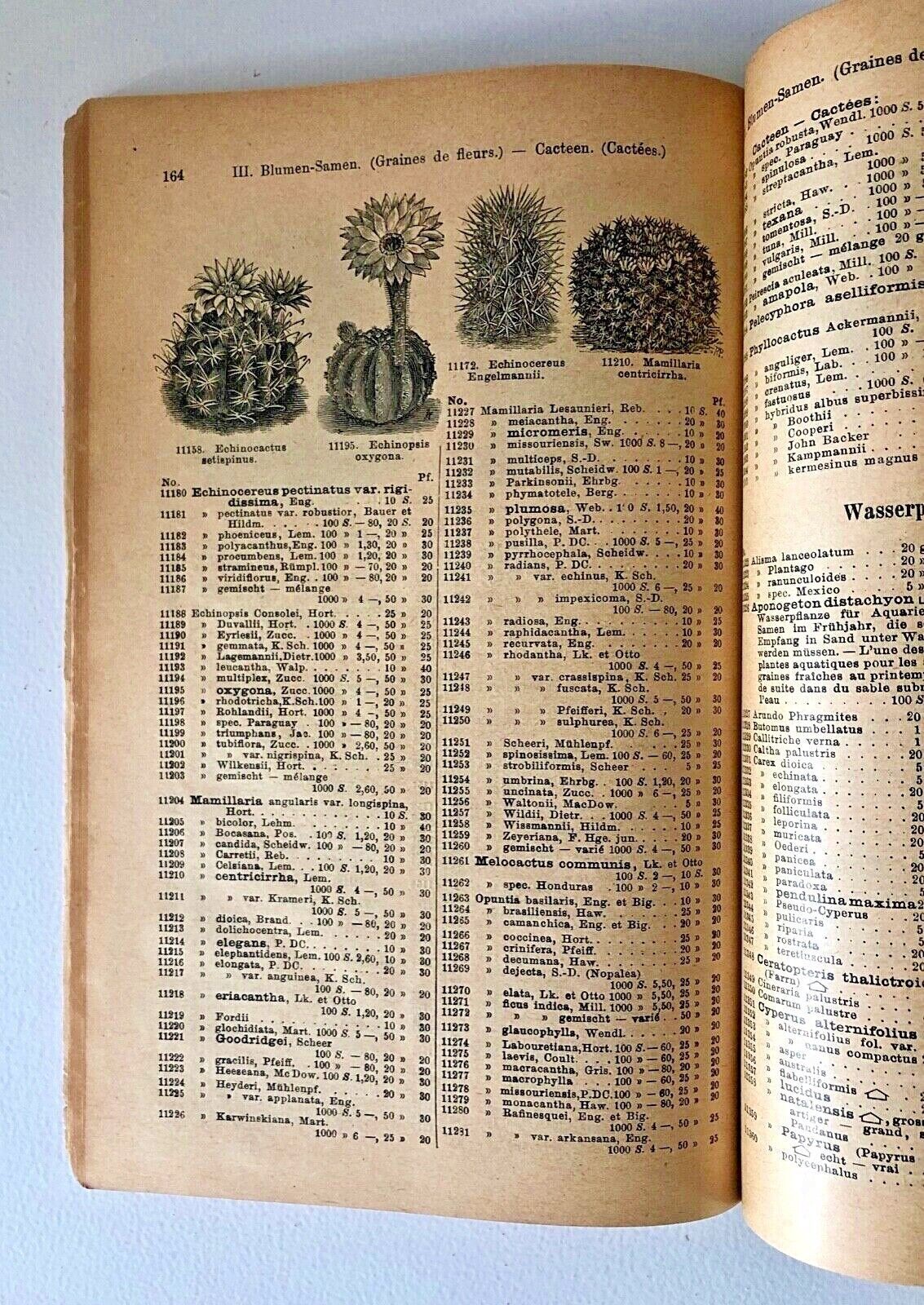 Haage & Schmidt 1903 Haupt-Verzeichniss Samen und Pflanzen –