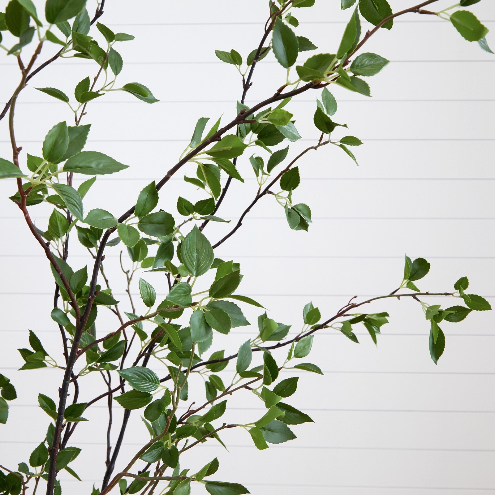7’ Artificial Citrus Minimalist Tree Home Decor. Retail $329