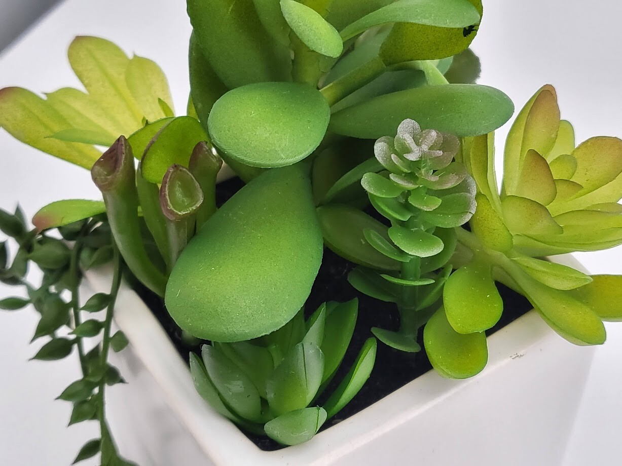 2-Pack Cactus Artificial Succulent Fake Plants Ceramic White Planter Pot 4x4x7