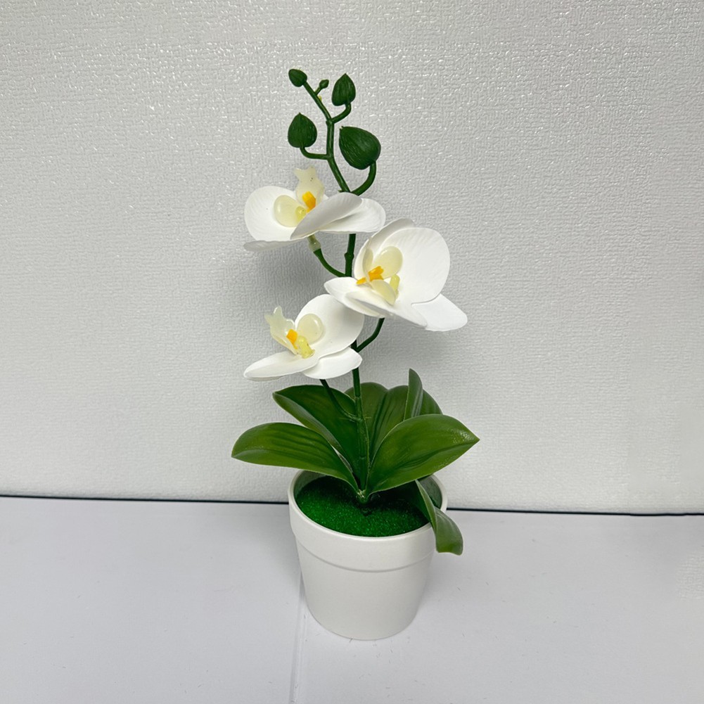 Phalaenopsis Bonsai Decorative Faux Plant Table Decoration Long-lasting Beauty