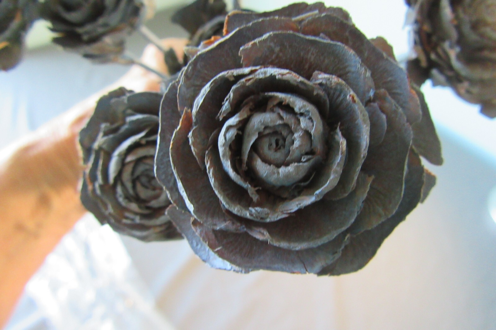 Cedar Roses Pine Cones Painted on Stems Bouquet