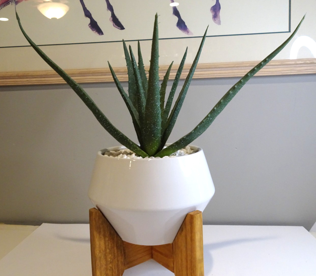 Artificial Fake Aloe Plant with White Ceramic Pot on Wood Stand 19.5 inches tall