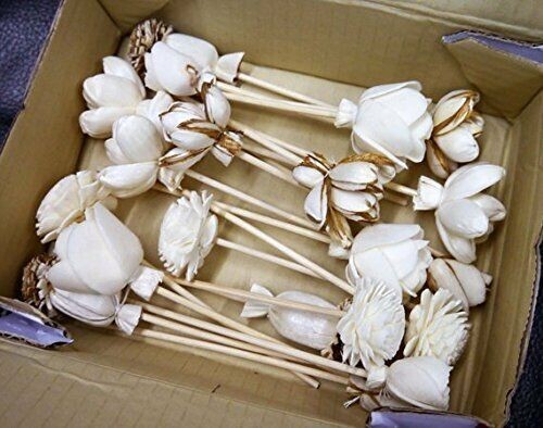 20 Balsa Artificial Sola Wood Flower with 5in. Rattan Reeds, Mix of Flowers