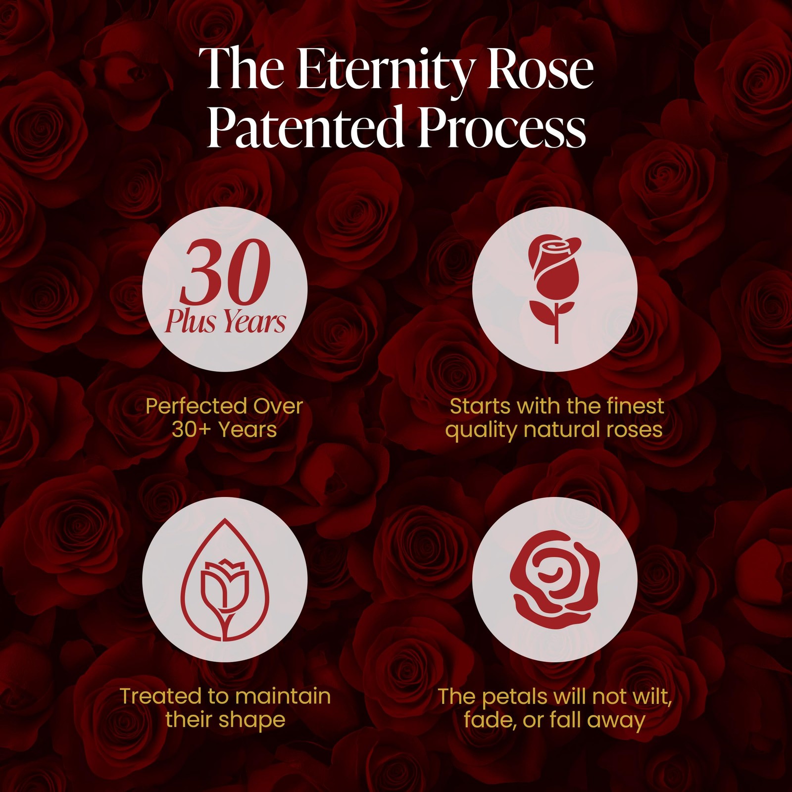 20-Piece Preserved Roses in a Luxury Gift Box – Real Roses in Black Heart Box…