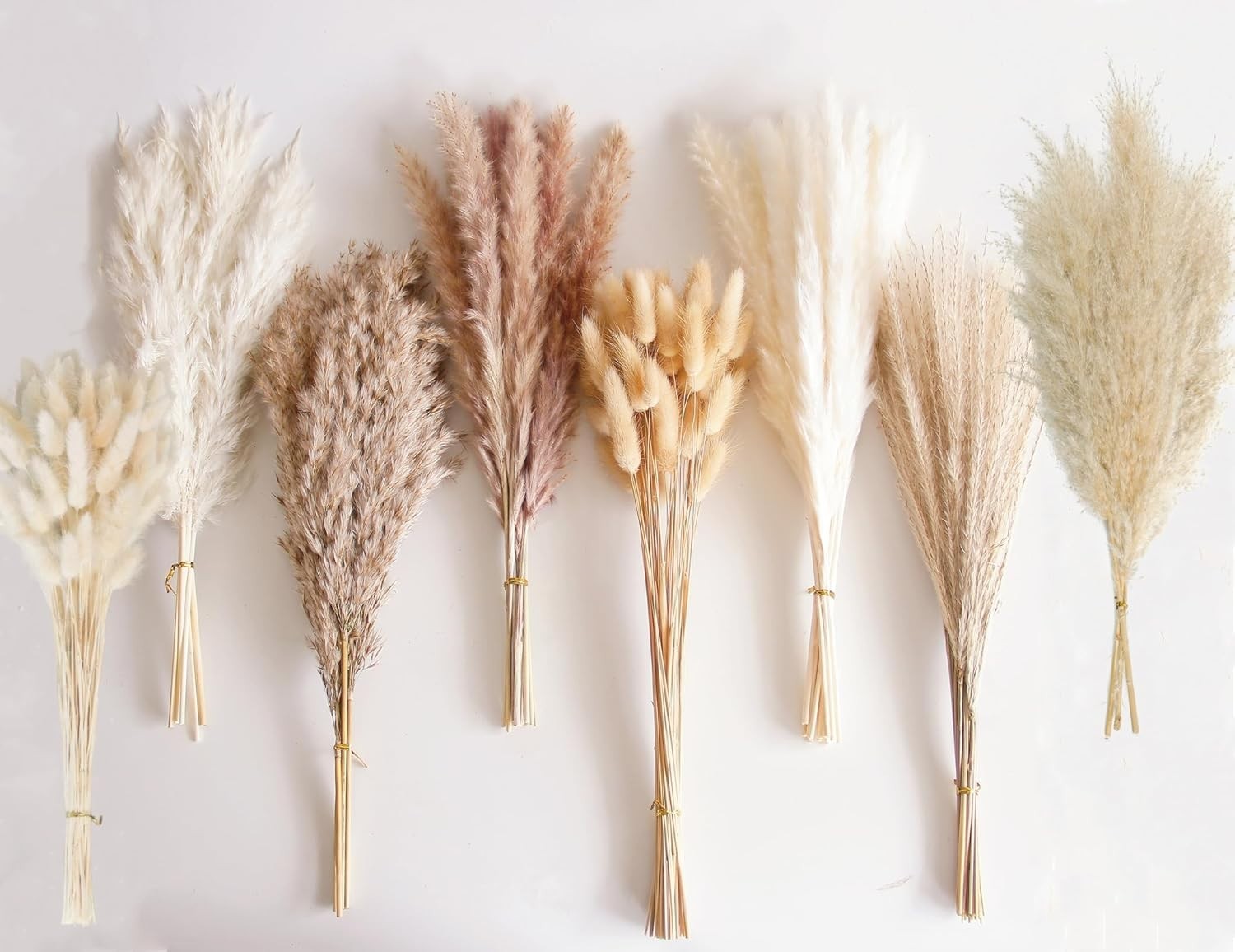 Bunny Tails Dried Flowers, Pampas Grass Bouquet – 130 PCS