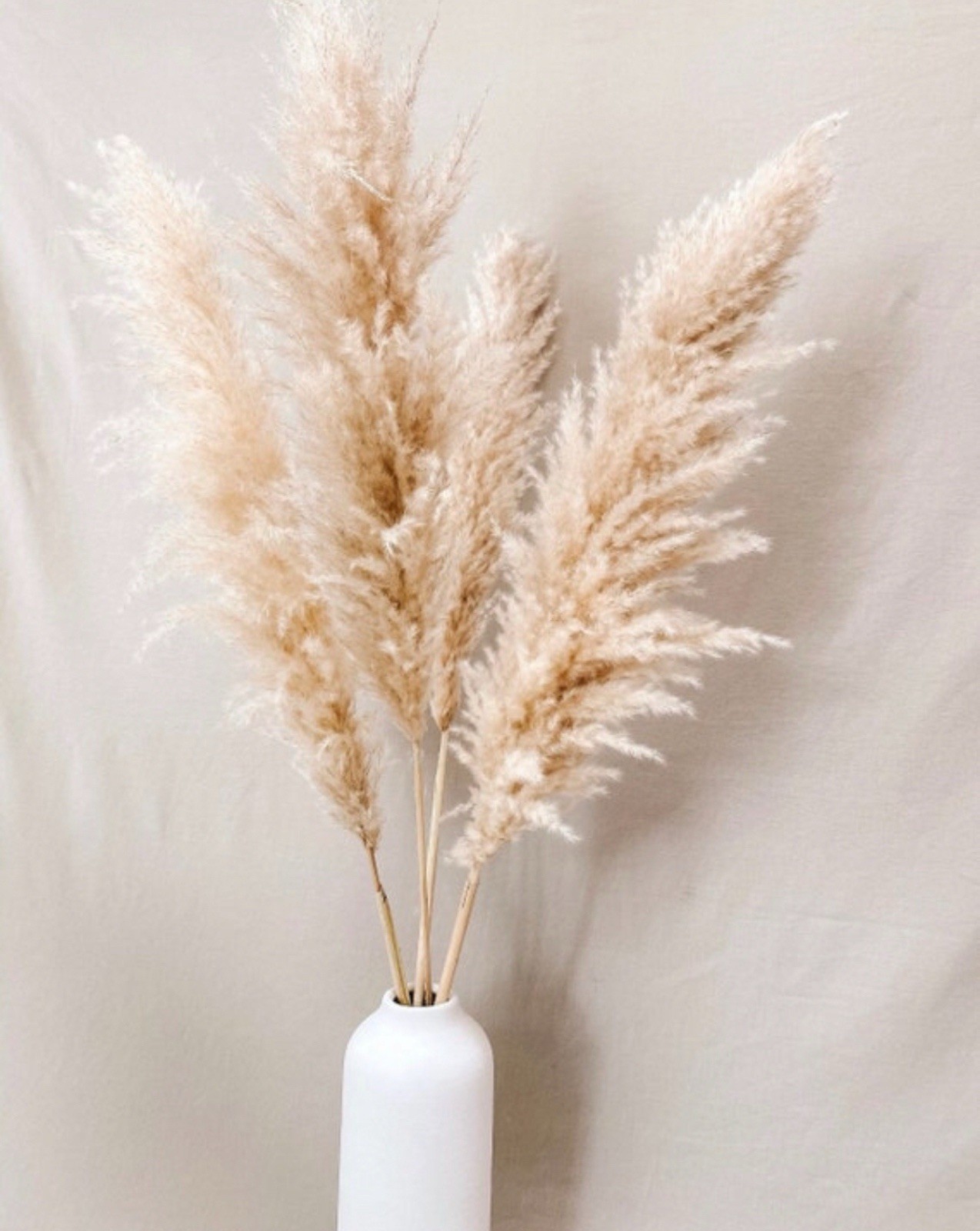 XL Pampas Grass 48”Inch 10 Stems Natural Decor Tall Boho Home Wedding
