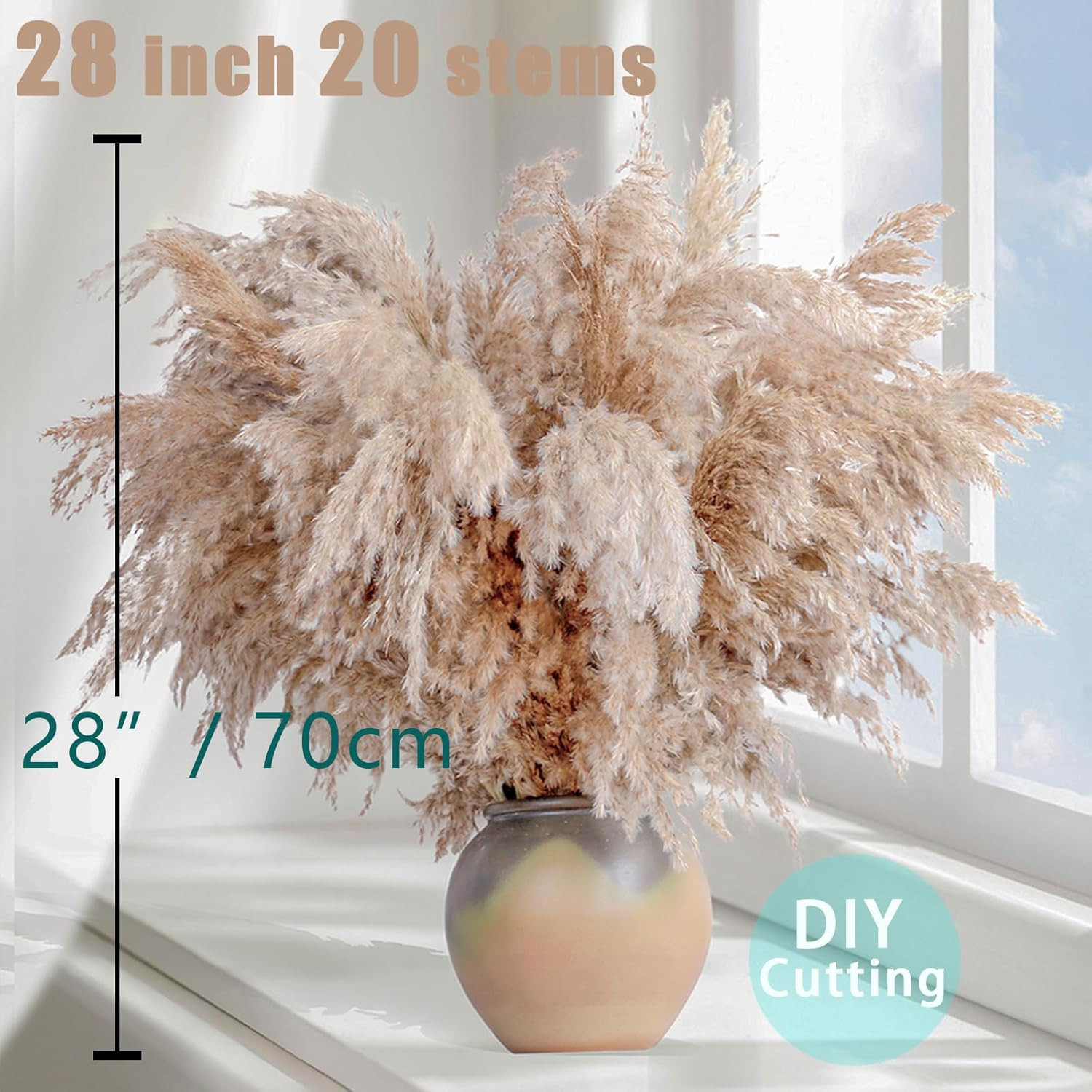20 Stems 28″ Large Brown Pampas Grass – Natural Fluffy Pompas Grass Bulk for Flo
