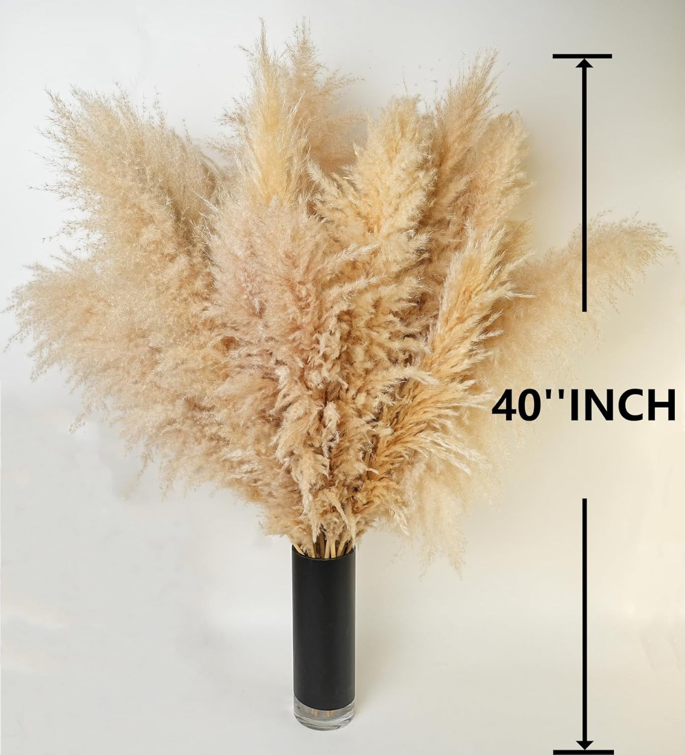 10 PCS 40″ Tall Pampas Grass Stems in Natural Beige, Add a Boho Touch to Your