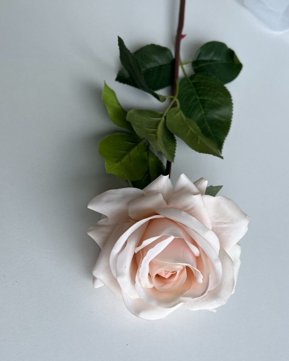 Real touch rose stem latex roses soft pink flowers fresh touch faux flowers x 1